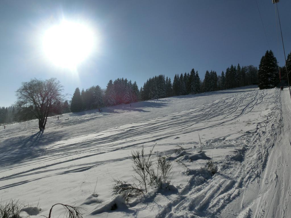 Ferienwohnung "Kleines Glueck" In Winterberg-Niedersfeld Exteriör bild